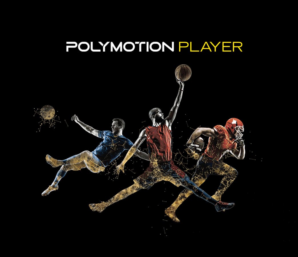 THE ROLE OF POLYMOTION PLAYER