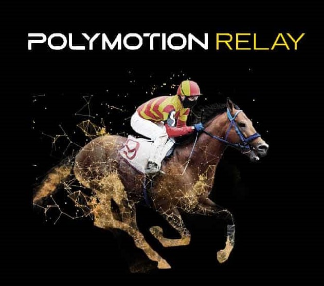 Polymotion Relay Mark Roberts Motion Control